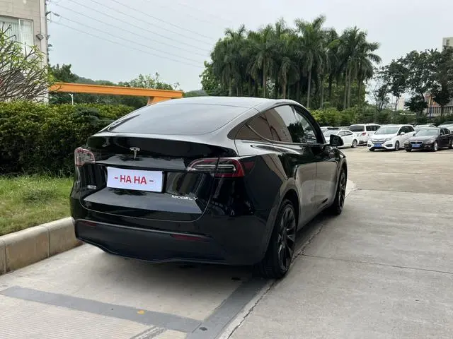Tesla Model Y Long battery life all-wheel drive version