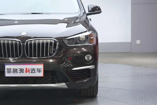 BMW BMW X1 xDrive20Li Exclusive type