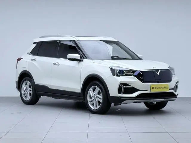 Venucia Qichen T60 EV AI Enjoy type