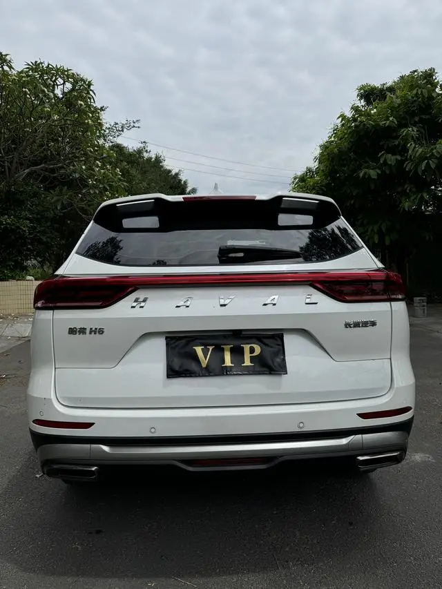 Haval Haval H6 National Tide Version 1.5T Automatic Champion Version