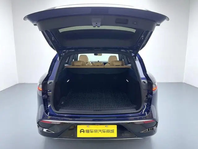 VOYAH Lan Tu FREE Four-wheel drive standard range extension exclusive luxury set