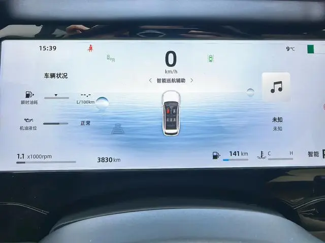 Geely Xingyue L 2.0TD high-power automatic two-wheel drive Dongfang Yao Today's version