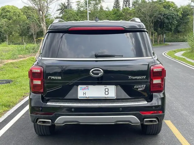 GAC Trumpchi GS8 320T two-wheel drive luxury Zhilian Edition 7 seats