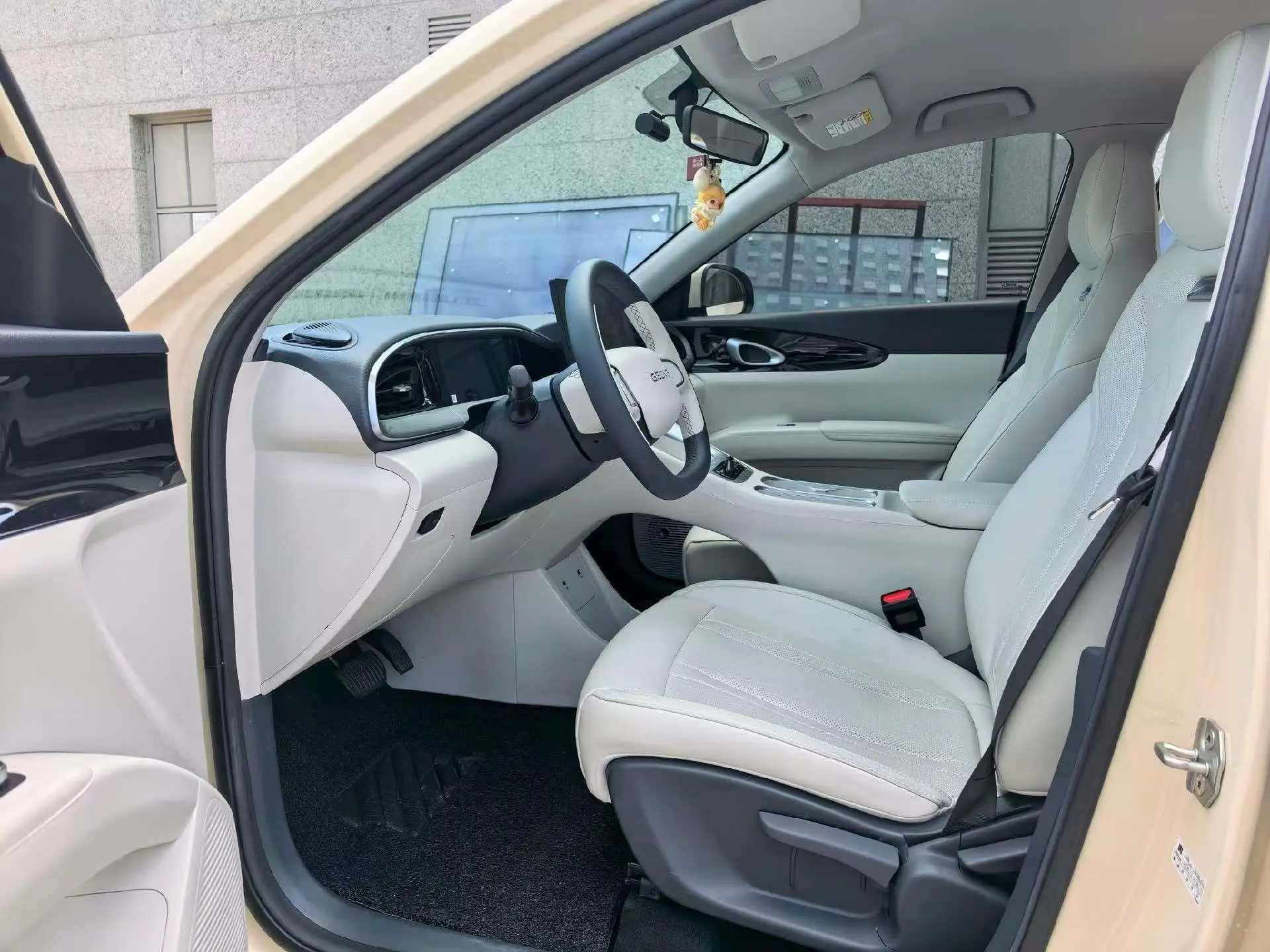 Geely Galaxy Star Wish 310km Dream Edition