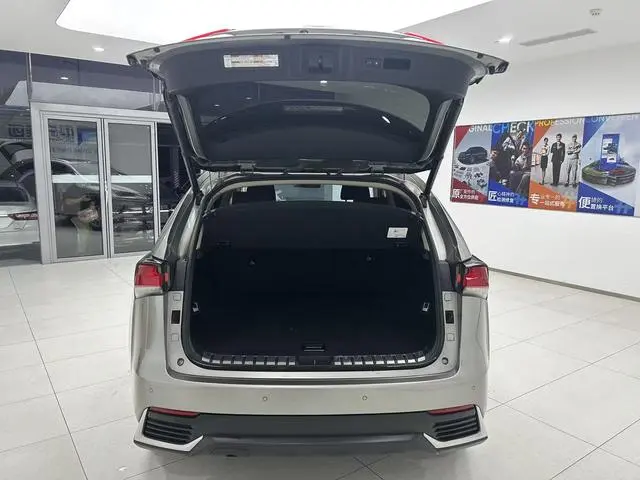 Lexus Lexus NX 300h front drive Fengshang version Country V