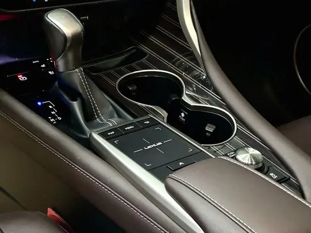 Lexus Lexus RX 300 four-wheel drive Special Edition