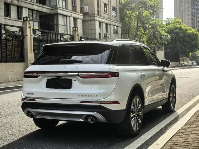Lincoln Adventurer 2.0T two-wheel drive Zunya edition