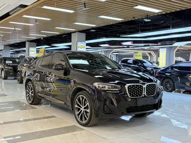 BMW BMW X4 xDrive 30i M sports suit