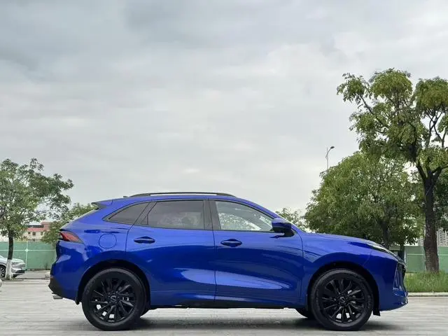 Dongfeng Fengxing Popular T5 EVO 1.5TD DCT Xingyao Edition