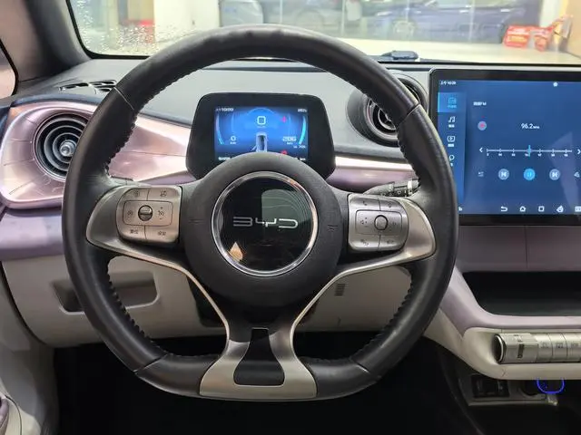 BYD dolphin Fashion edition