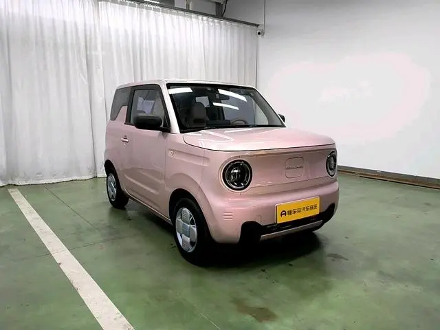 Geely Galaxy panda 200km panda mini endurance bear