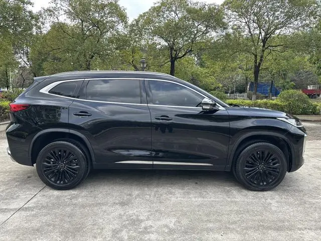 EXEED Xingtu Lingyun Lingyun 300T two-wheel drive Xingyao Version