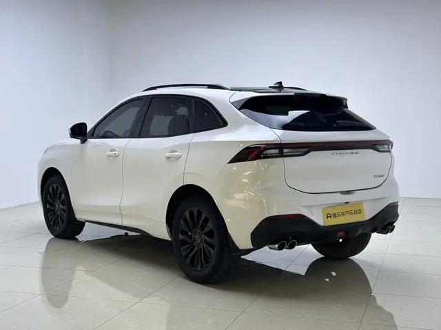 Dongfeng Fengxing Popular T5 EVO 1.5TD DCT Xingyao Edition