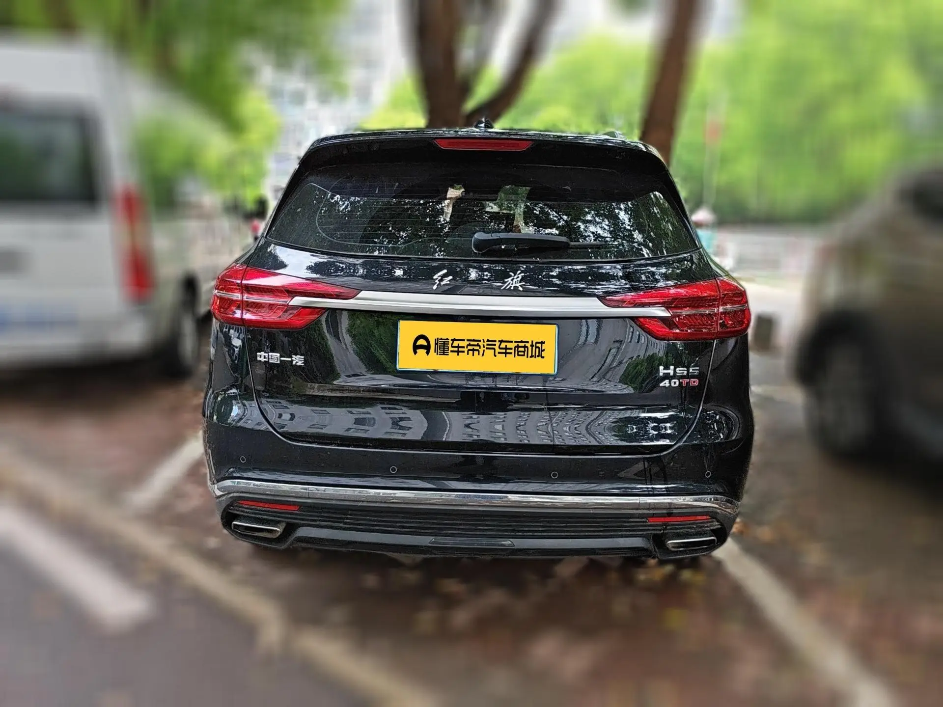 Hongqi Hongqi HS5 2.0T Zhilian Flag Enjoy Edition