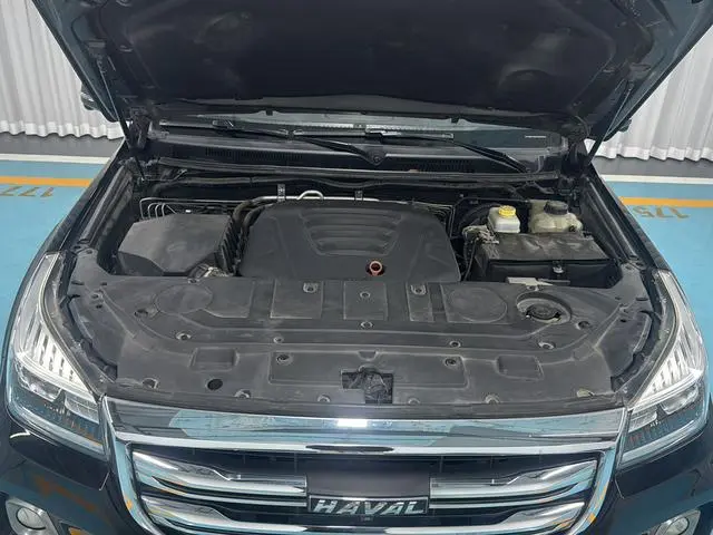 Haval Haval H9 2.0T gasoline four-wheel drive exclusive 5-seater