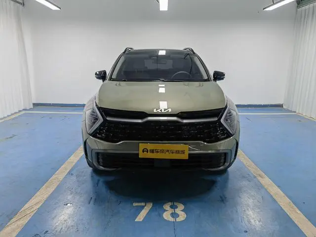 Kia Lion Platinum expands the world 1.5T two-wheel drive Premium edition