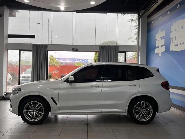 BMW BMW X3 xDrive25i M sports suit country VI