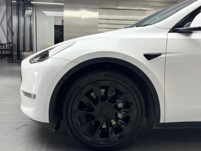 Tesla Model Y Long battery life all-wheel drive version