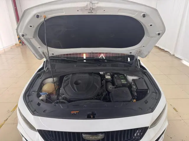Geely Xingrui 2.0T luxury