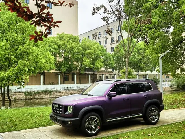 Haval Haval Big Dog 2.0T two-wheel drive Chinese Hound Version