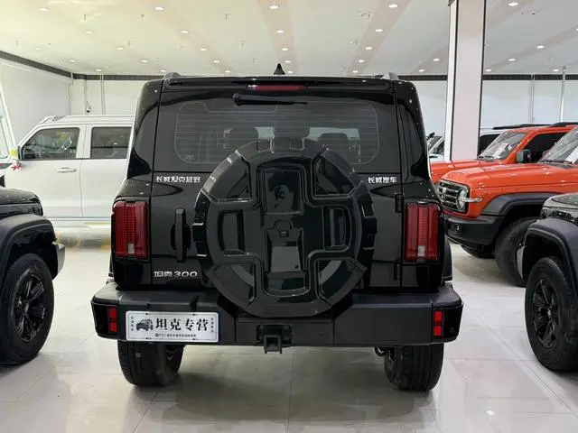 Tank Tank 300 2.0T Conqueror