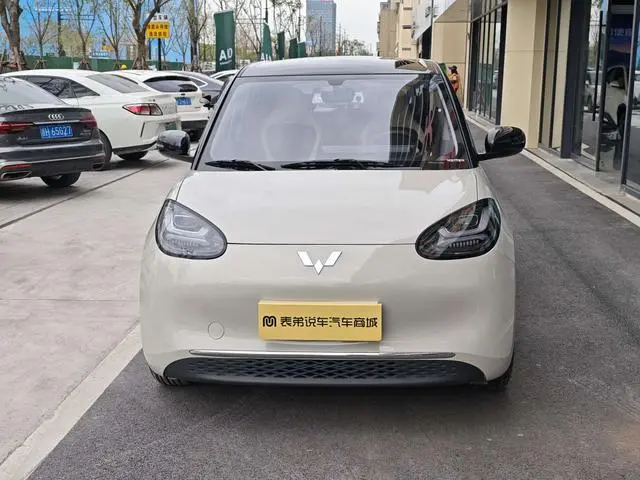Wuling Wuling Bingguo 333KM Yuexiang model