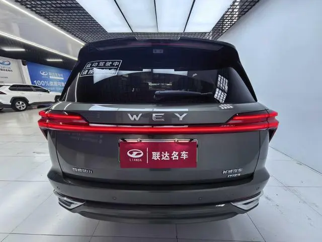 Wei Blue Mountain Four-wheel drive Ultra