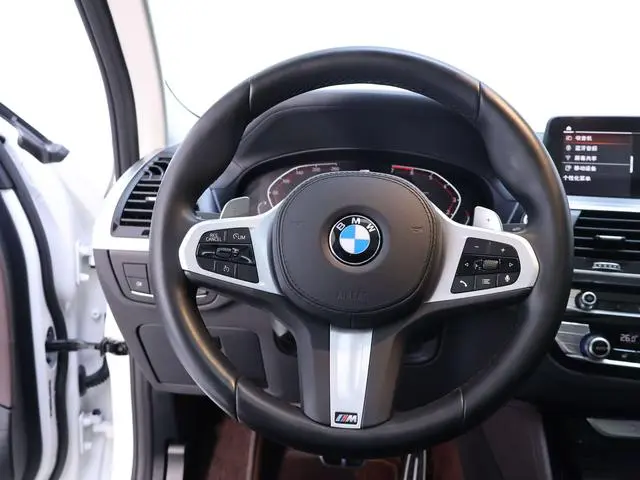 BMW BMW X4 xDrive25i M sports suit