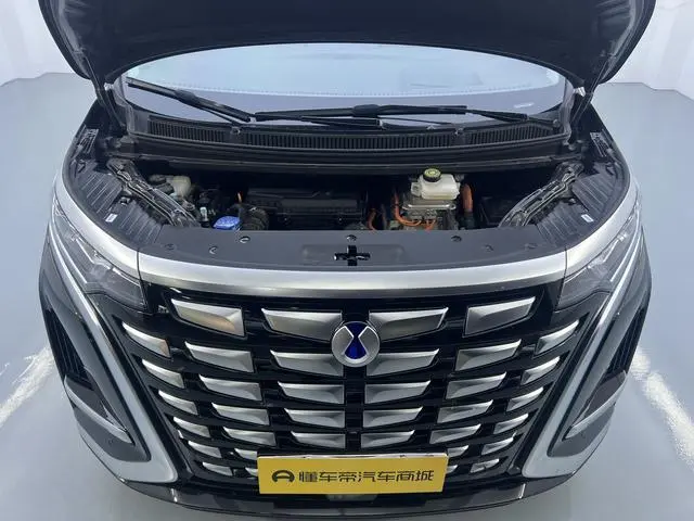 Denza Denza D9 DM 970 four-wheel drive flagship