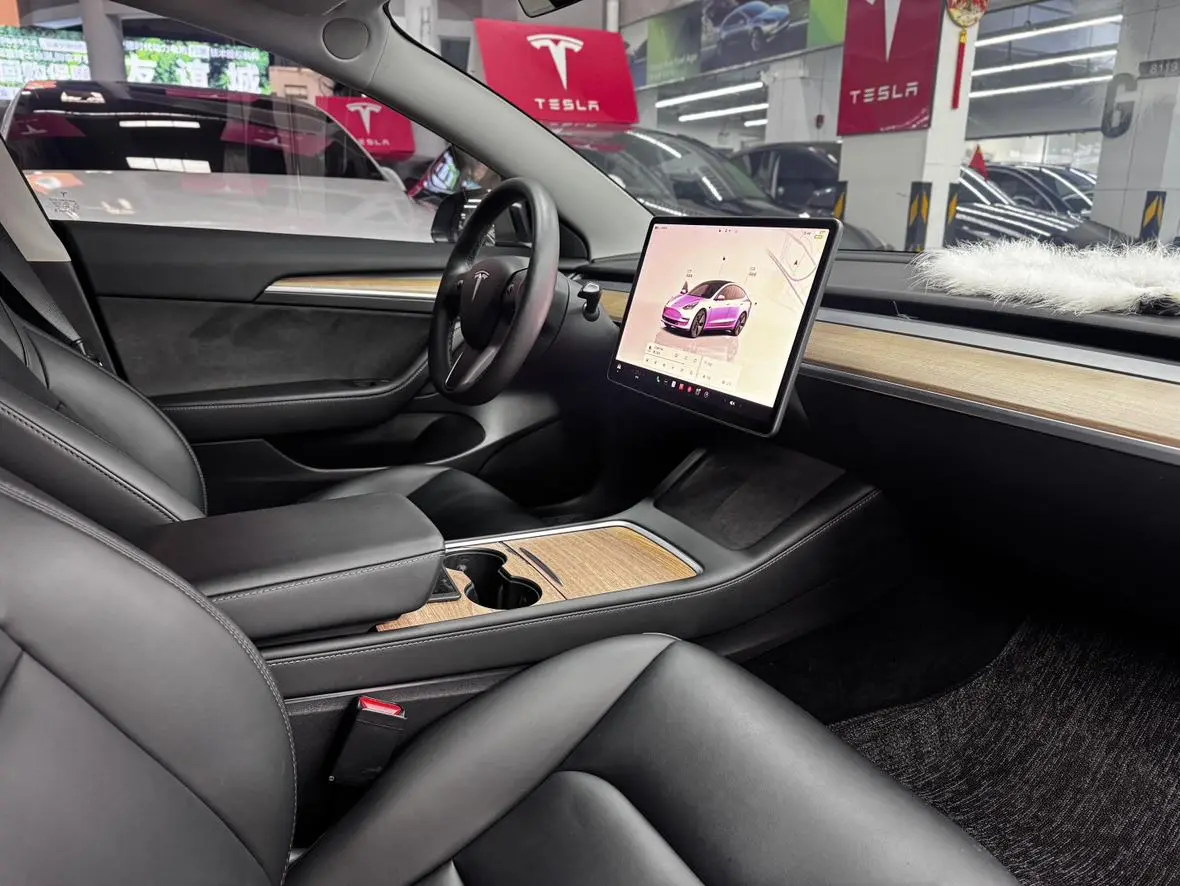 Tesla Model 3 Rear-wheel drive version