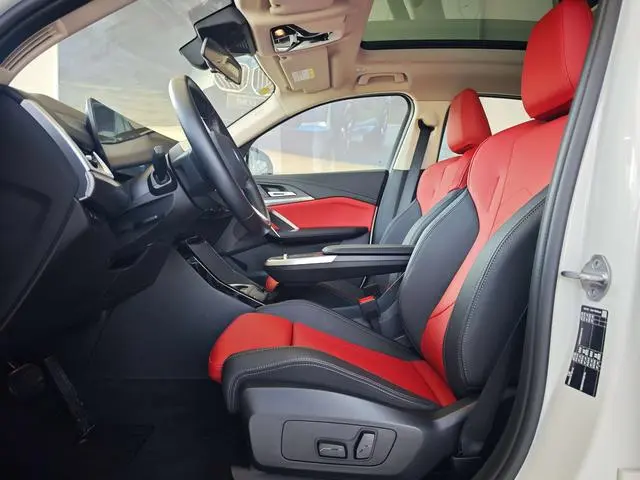 BMW BMW X2 (imported) sDrive25i M sports suit