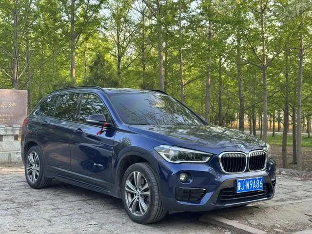 BMW BMW X1 sDrive20Li Luxury