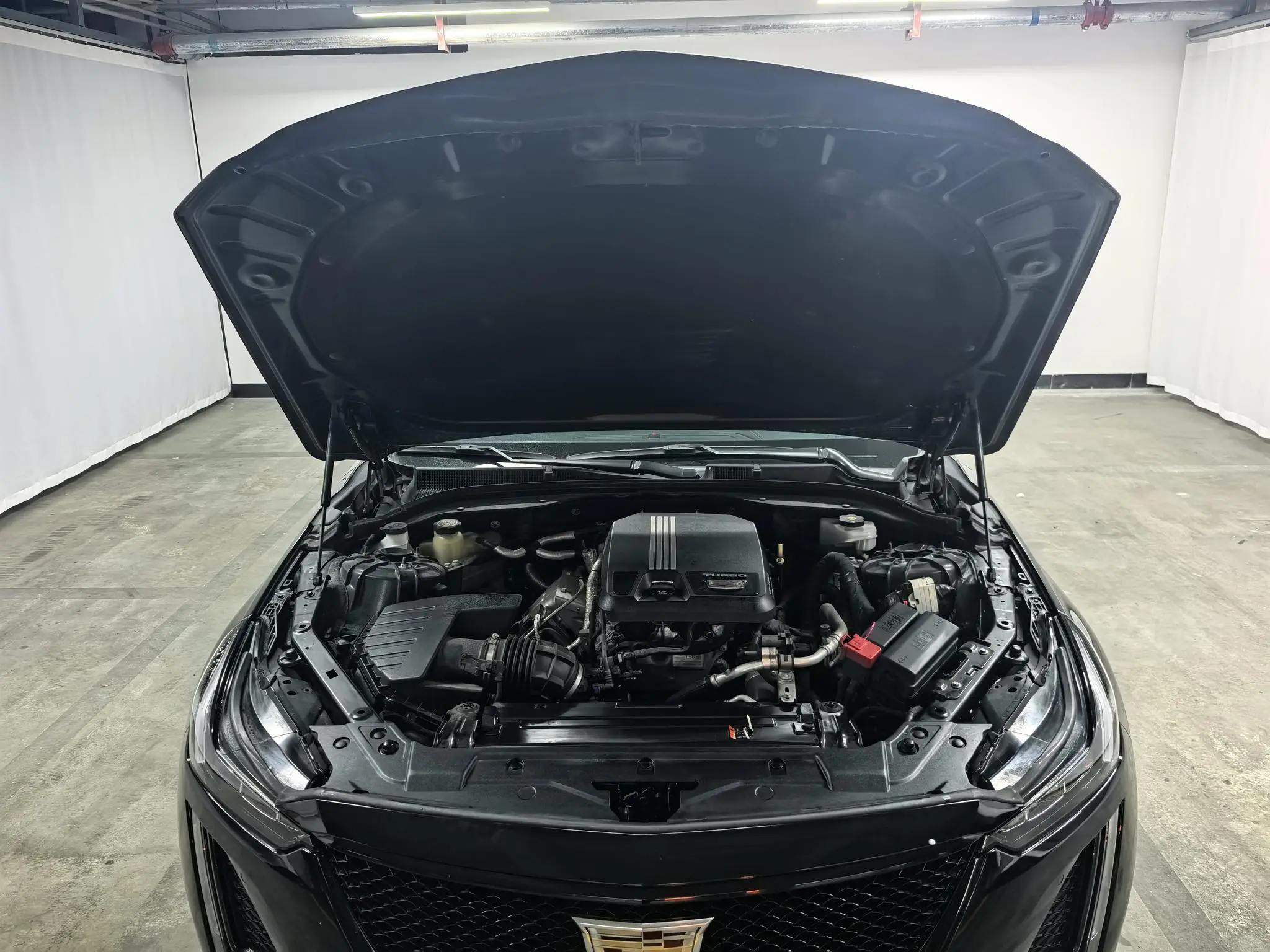Cadillac Cadillac CT5 Facelift 28T platinum sporty