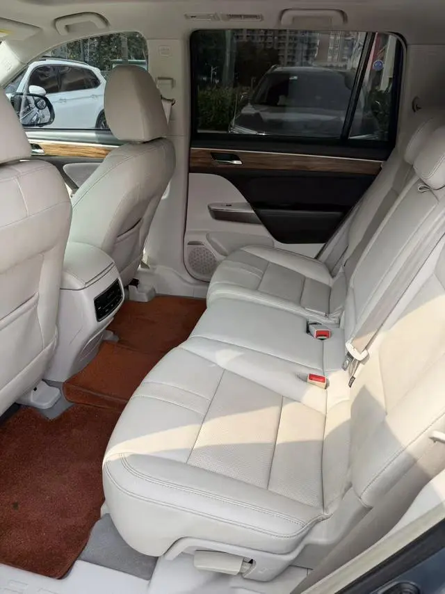 GAC Trumpchi GS8 320T two-wheel drive premium edition 7 seats