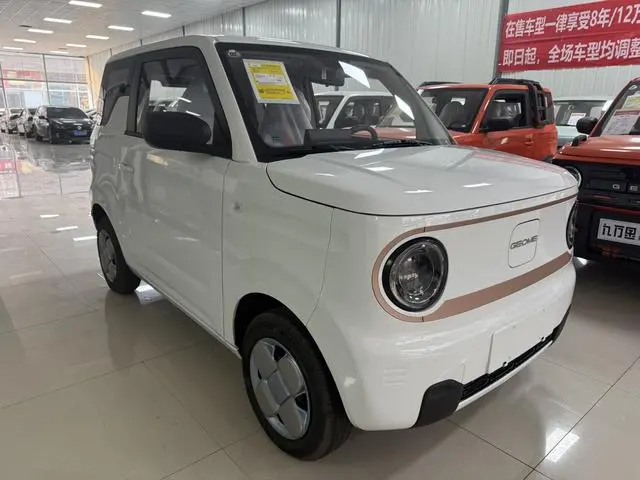 Geely Galaxy panda 200km panda mini endurance bear