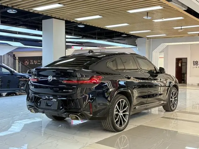 BMW BMW X4 xDrive 30i M sports suit