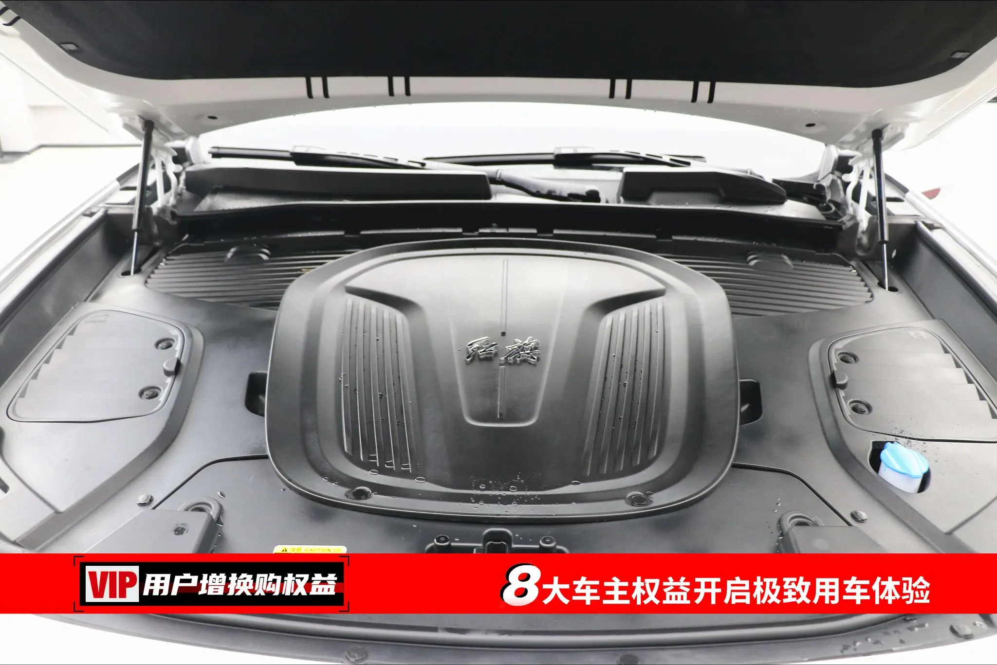 Hongqi Hongqi E-HS9 660km Qichang version six seats