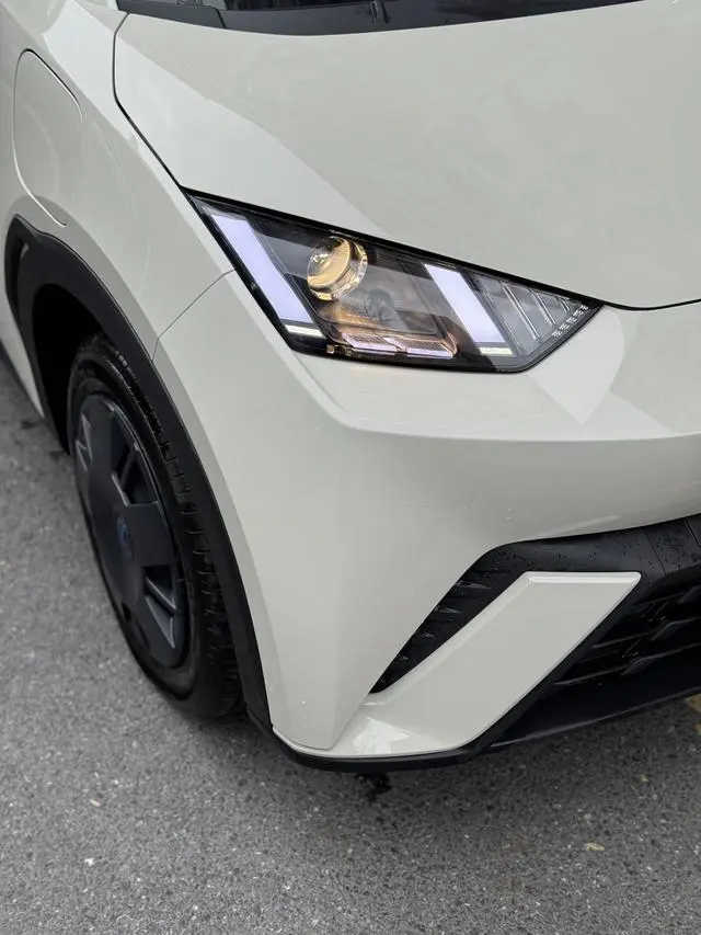 BYD Seagull Glory Edition 305KM Vitality Edition