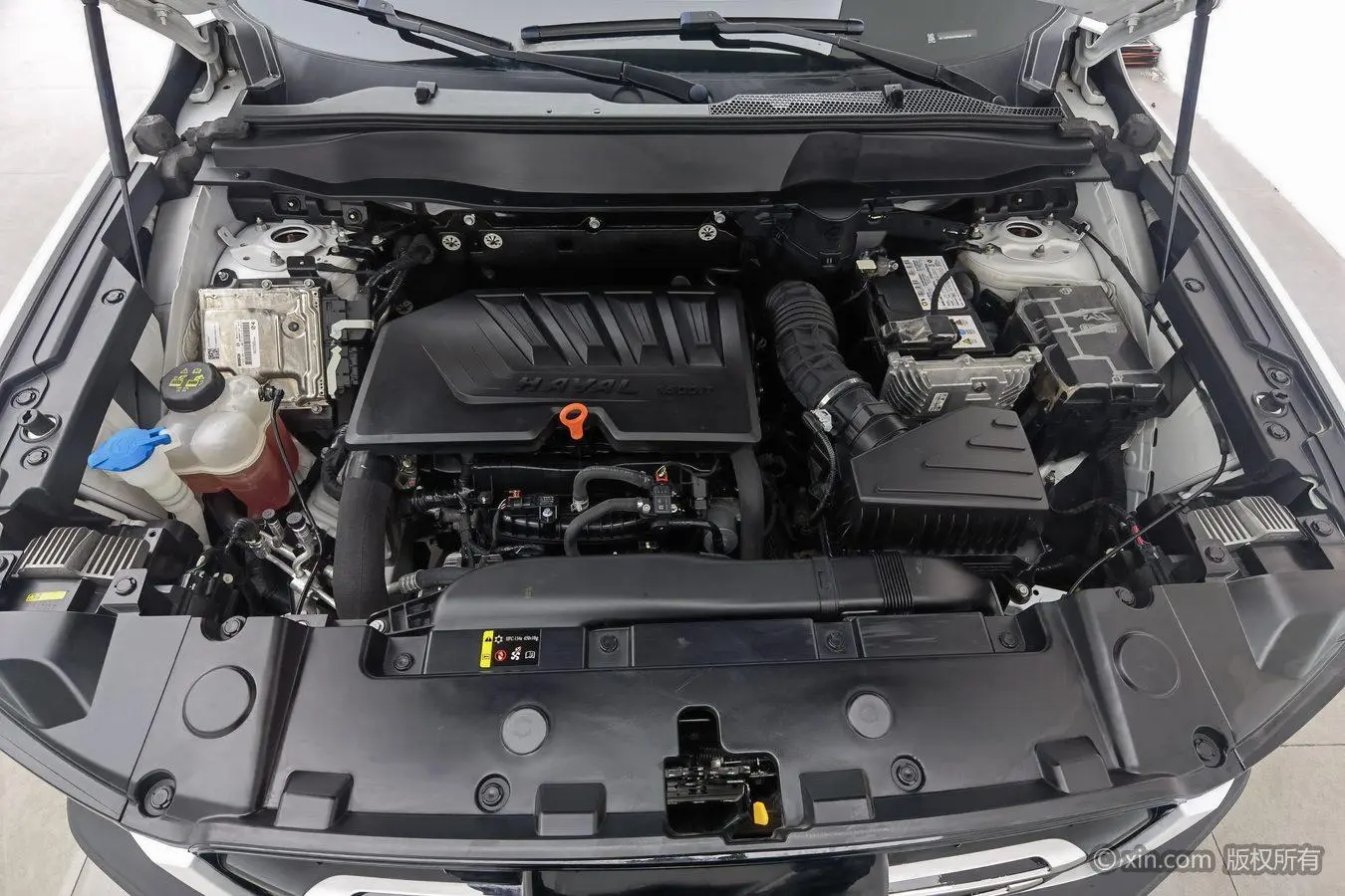Haval Haval Big Dog 1.5T two-wheel drive Labrador version