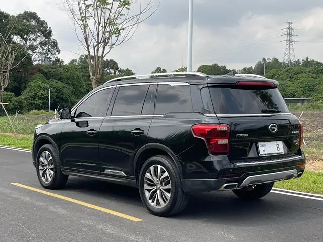 GAC Trumpchi GS8 320T two-wheel drive luxury Zhilian Edition 7 seats