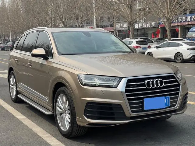 Audi Audi Q7 45 TFSI S line sporty