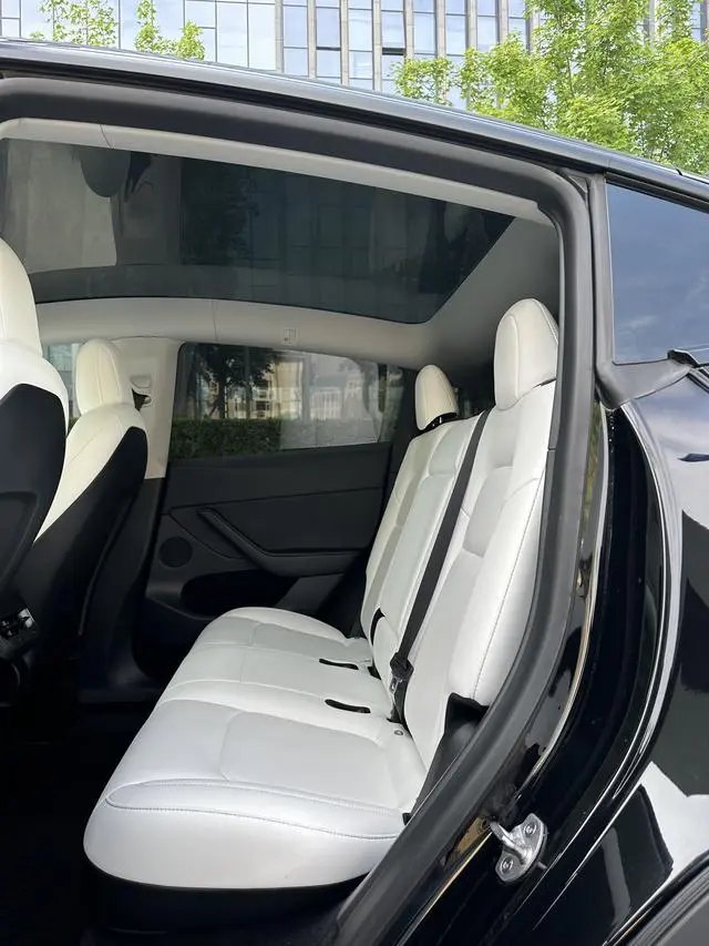 Tesla Model Y Performance high-performance all-wheel drive version