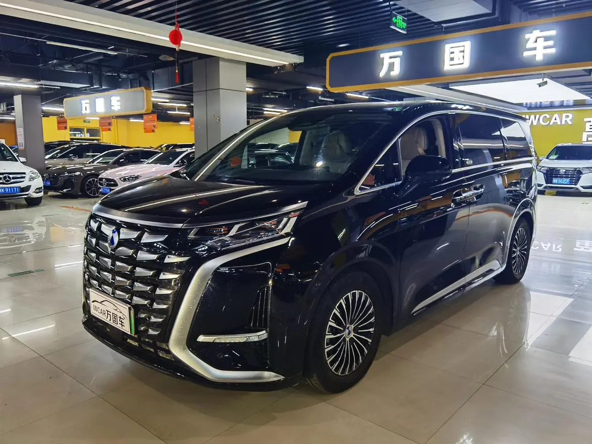 Denza Denza D9 DM 1050 Exclusive type