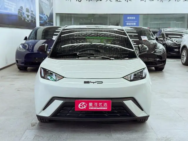 BYD Seagull Flying Version