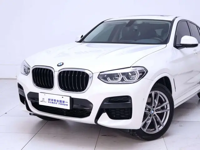 BMW BMW X4 xDrive25i M sports suit