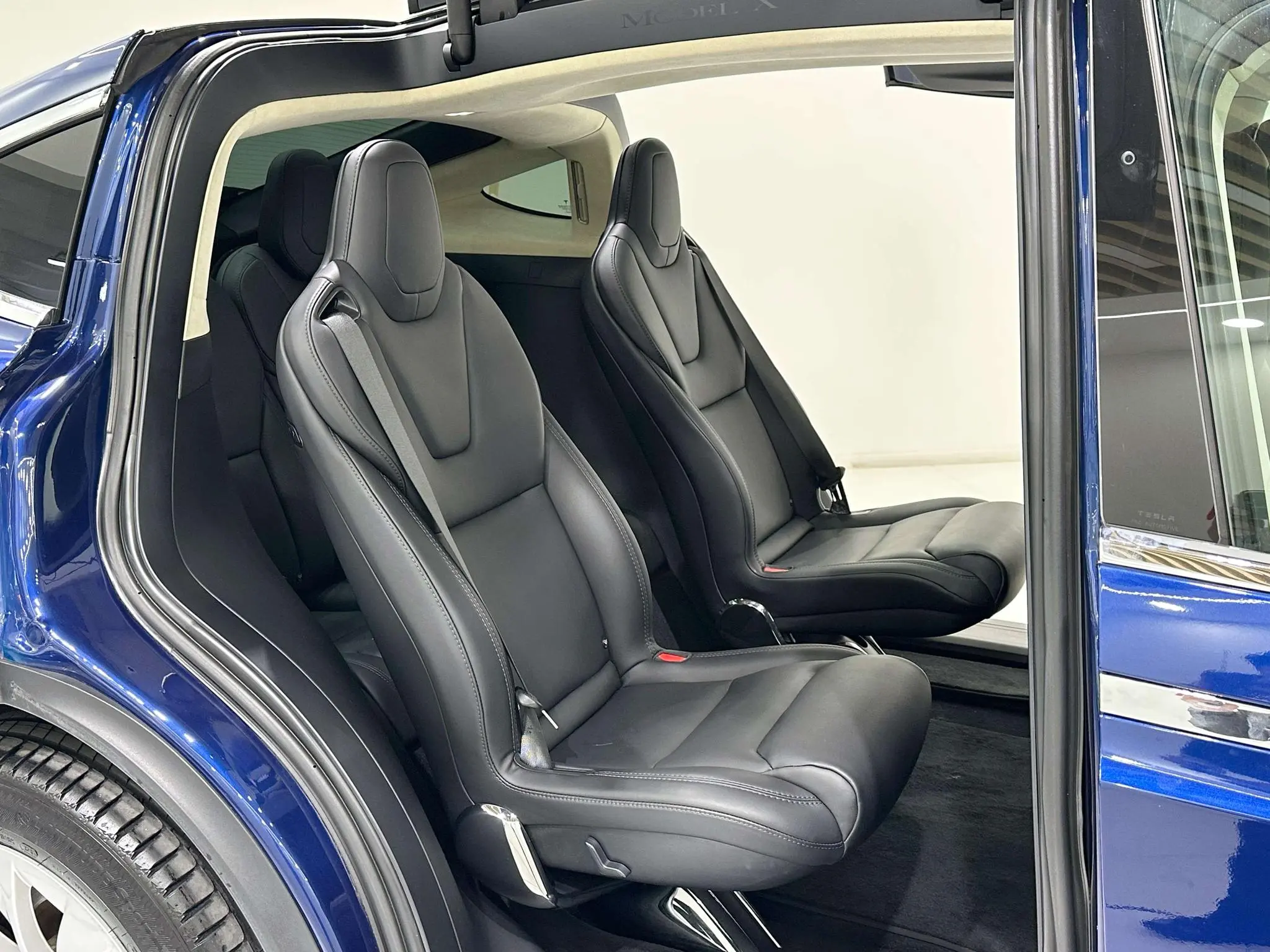 Tesla Model X 100D long battery life version