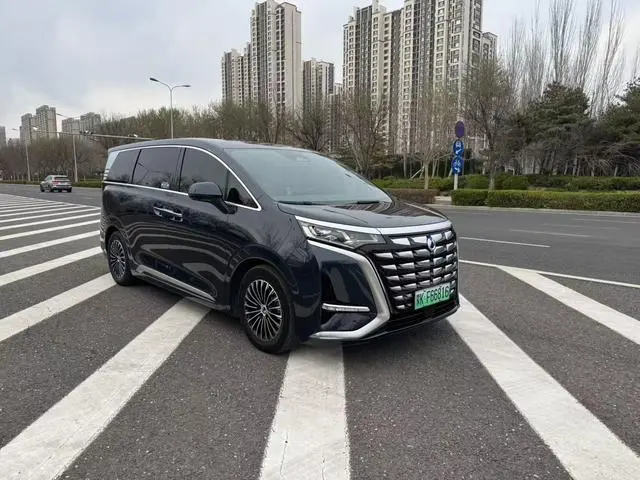 Denza Denza D9 DM 970 four-wheel drive flagship