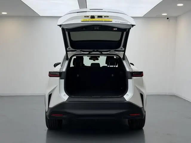 Lexus Lexus RZ 450e DIRECT4 vertical version