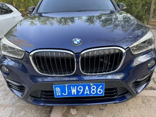 BMW BMW X1 sDrive20Li Luxury