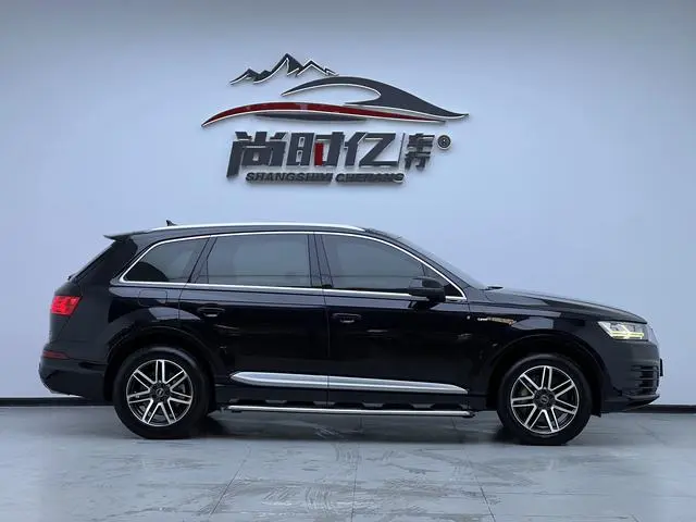 Audi Audi Q7 45 TFSI S line sporty